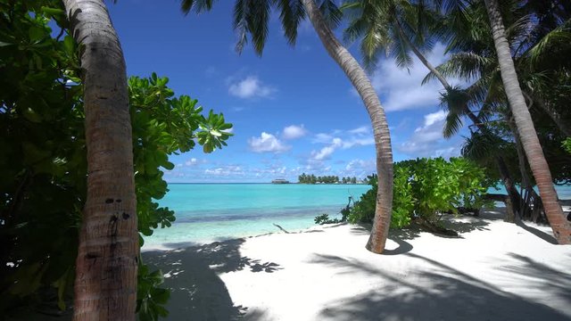 Walking to the Indian ocean in Maldives islands resort paradise view adn fantastic light 4K footage