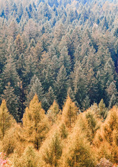 Der wunderschöne Herbst in Deutschland