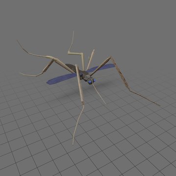 Low poly mosquito
