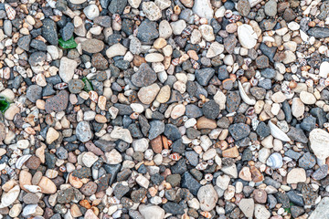 abstract background pebbles and shells on the beach close up