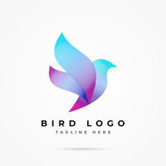 Obraz premium Colorful bird logo vector