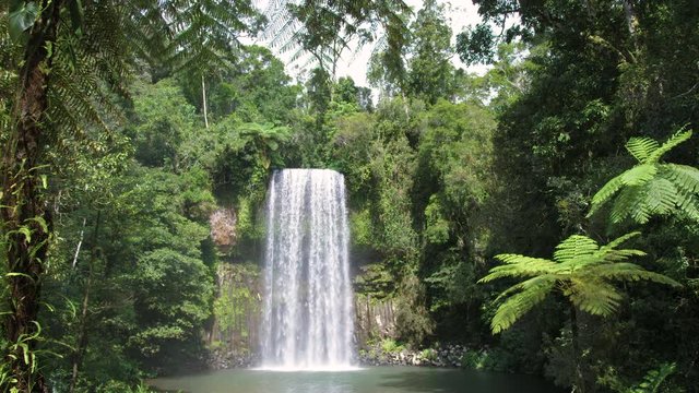 Slow zoom out: Beautiful waterfall framed by ferns and surrounded by pristine jungle in tropical Queensland. Hot summer day. Millaa Millaa Falls. Australia.