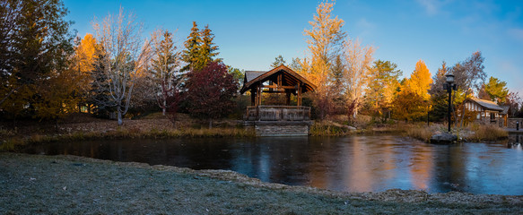 Autumn by a pond