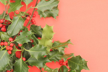 Prickly Holly and red berries against a red background
