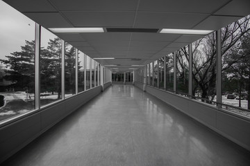 Black and white walkway