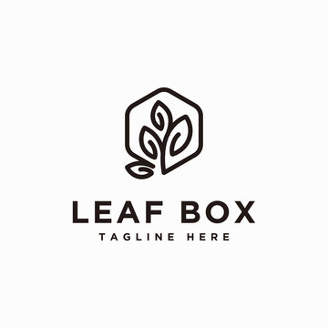 Leaf box logo design inspiration - vector