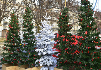 Arbres de Noël décorés