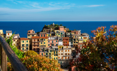 Manarola, Italy. Landmark village in Cinque Terre national park in Italy, Liguria. UNESCO world heritage site. Manarola is famous and popular travel destination.