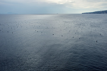 Obraz premium Beautiful seaview with Mussel Cultivation in the Gulf of Naples, Italy.