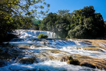 Fototapeta premium Cascadas de Agua Azul
