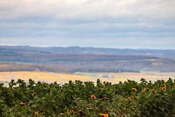 Blick auf die Mosellandschaft nähe Luxemburg im Herbst