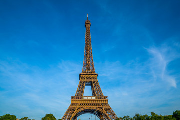 Fototapeta na wymiar The Eiffel Tower, symbol of Paris. Copy space for your text.