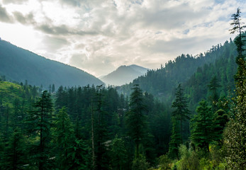 A mountain valley, Jibhi, Tirthan Valley, Himachal Pradesh, India