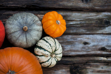 Top view on Autumn still life with colorful decorative pumpkins on a wooden board -Autumn, Helloween, agriculture concept.
