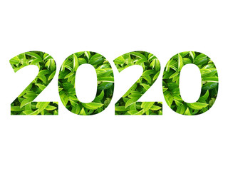 rok 2020 napisany z zielonych i świeżych liści