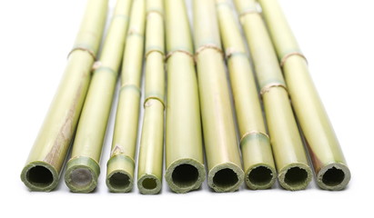 Green bamboo sticks isolated on white background, side view