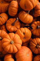 Pumpkins background. Pumpkin closeup. Natural fresh organic vegetable. Healthy eating, raw food diet. Autumn colors, fall season agriculture. Top view. Pumpkin day, Thanksgiving and Halloween. Poster