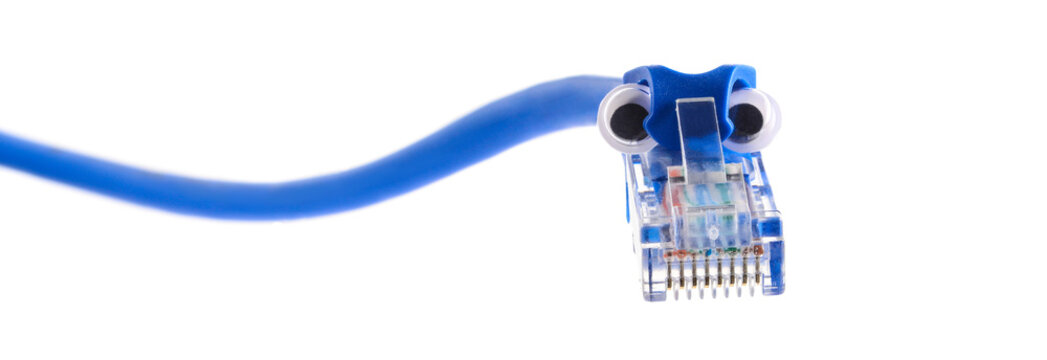 Connector Rj-45 On Blue Patch Cord. Snake-shaped Plug With Funny Googly Eyes. Close-up Macro Isolated On White Background, Banner Size.