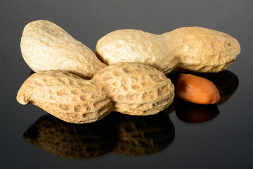 Peanut on glossy grey surface with reflection. Three whole real peanut with kernel macro close-up, high resolution full depth of field.