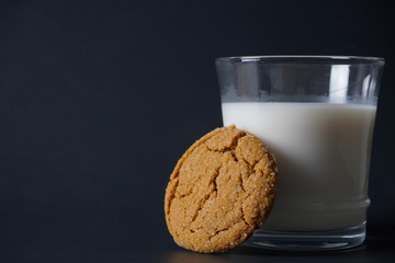 Close-up image of a gingerbread cookie leaning up against a cold glass of milk with copy space