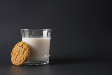 A gingerbread cookie leans up against a glass of cold milk on a black background with copy space