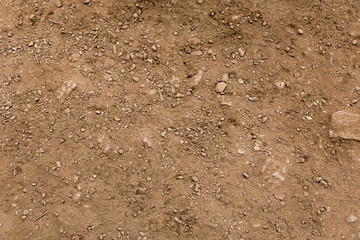 Graphic texture stone