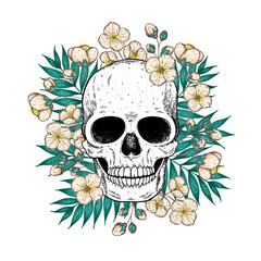 Fototapeta premium Skull and flowers hand drawn illustration. Tattoo vintage print. Floral skull.