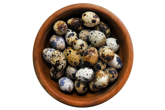quail eggs