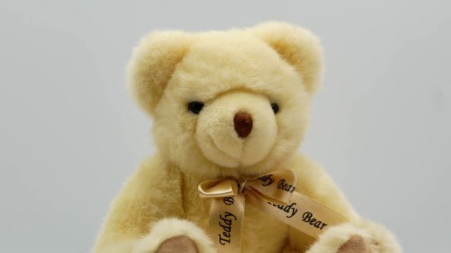 Teddy bear on a white background 4k