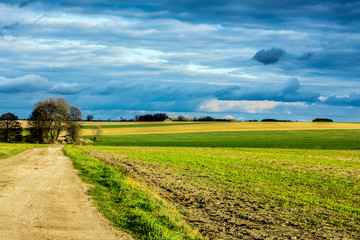 Late autumn. A dirt road goes through green fields over the horizon. Trees and dark sky in the...