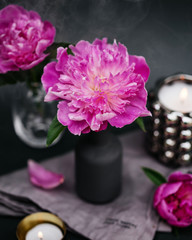pink blooming peony flower bud in a gray vase on a dark background with candles