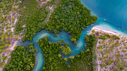 Fototapeta na wymiar mangroove swamp at Kanga beach, mafia island