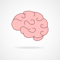 Vector outline illustration of human brain on white background