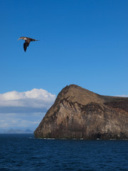 Vestmannaeyjar or Westman Islands, a chain of volcanic islands south of Iceland