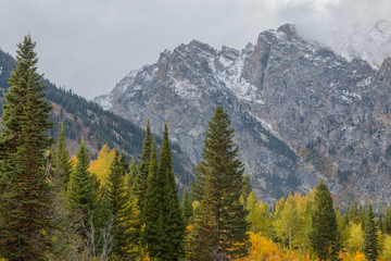 Scenic Autumn Landscape in the Tetons