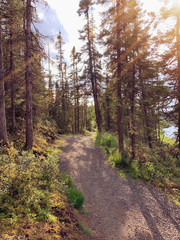 Nice fall walking trail in Labrador, Canada with lighting effects and warn colors