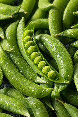 Raw Green Organic Sugar Snap Peas