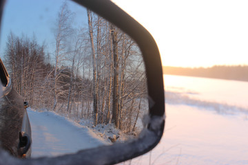 Reflection of trees in the car mirror