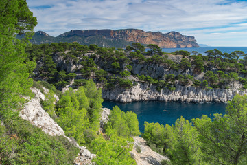 Fototapeta na wymiar Beautiful nature of Calanques on the azure coast of France.