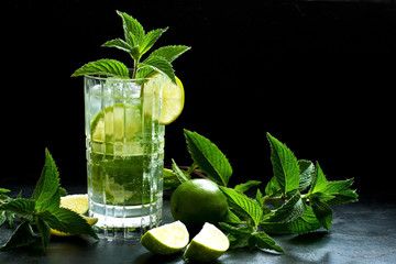 Tradition summer  exotic drink with lime, mint and ice