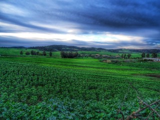 Fototapeta na wymiar beautiful landscape of the countryside in Guelma