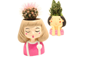 cactus plant white decorative woman flowerpot