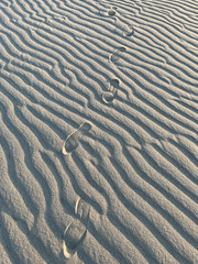 Footprints on sand dunes, top view.