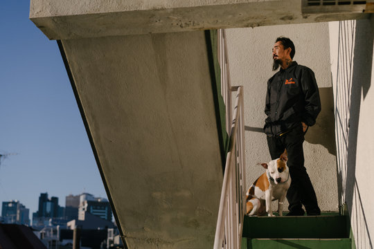 階段上の男性と犬のポートレート