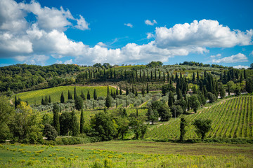 Fototapeta na wymiar Tuscany, Italy landscape.