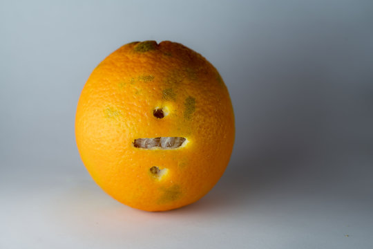 Geteiltzeichen einer Schriftart in die Schale frischer Orangen geschnitzt