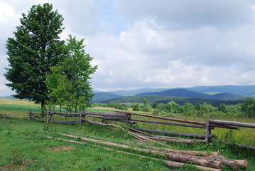 Fototapeta na wymiar summer landscape of the Carpathian mountains