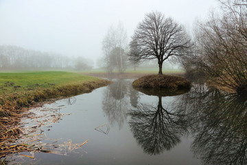 Nebellandschaft im November - November misty landscape