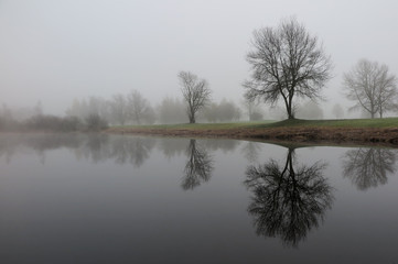 Nebellandschaft im November - November misty landscape