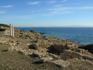 Ruiny starożytnego miasta Tharros